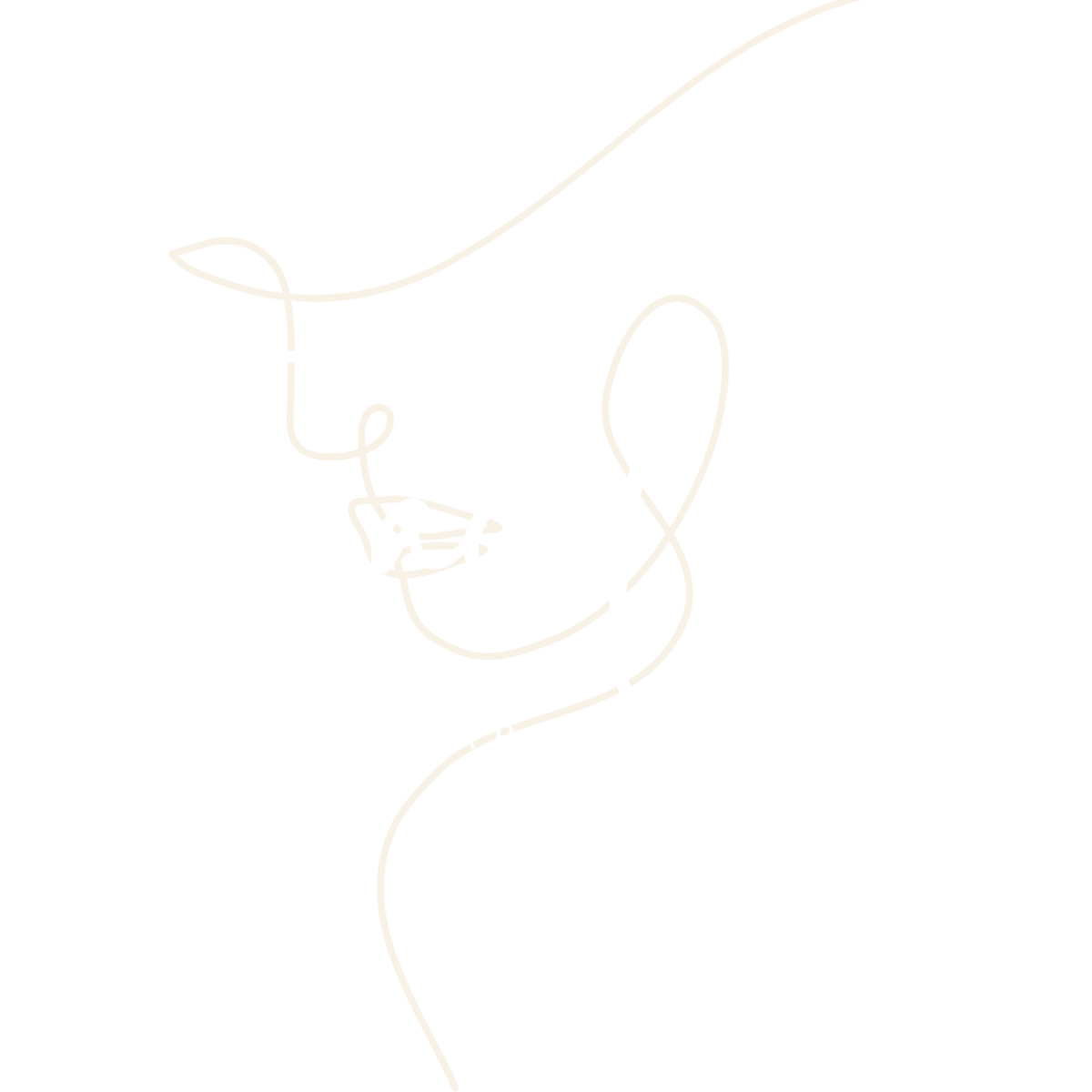 FaceLab